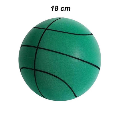 Silent Dribble Basketball – Noise-Free Fun in Sizes 3/5/7! 🏀 - Bodo Now