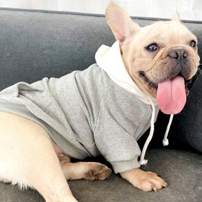 Matching Dog & Owner Hoodies – French Bulldog, Corgi & Pug Family Pet Outfits for Ultimate Bonding! - Bodo Now