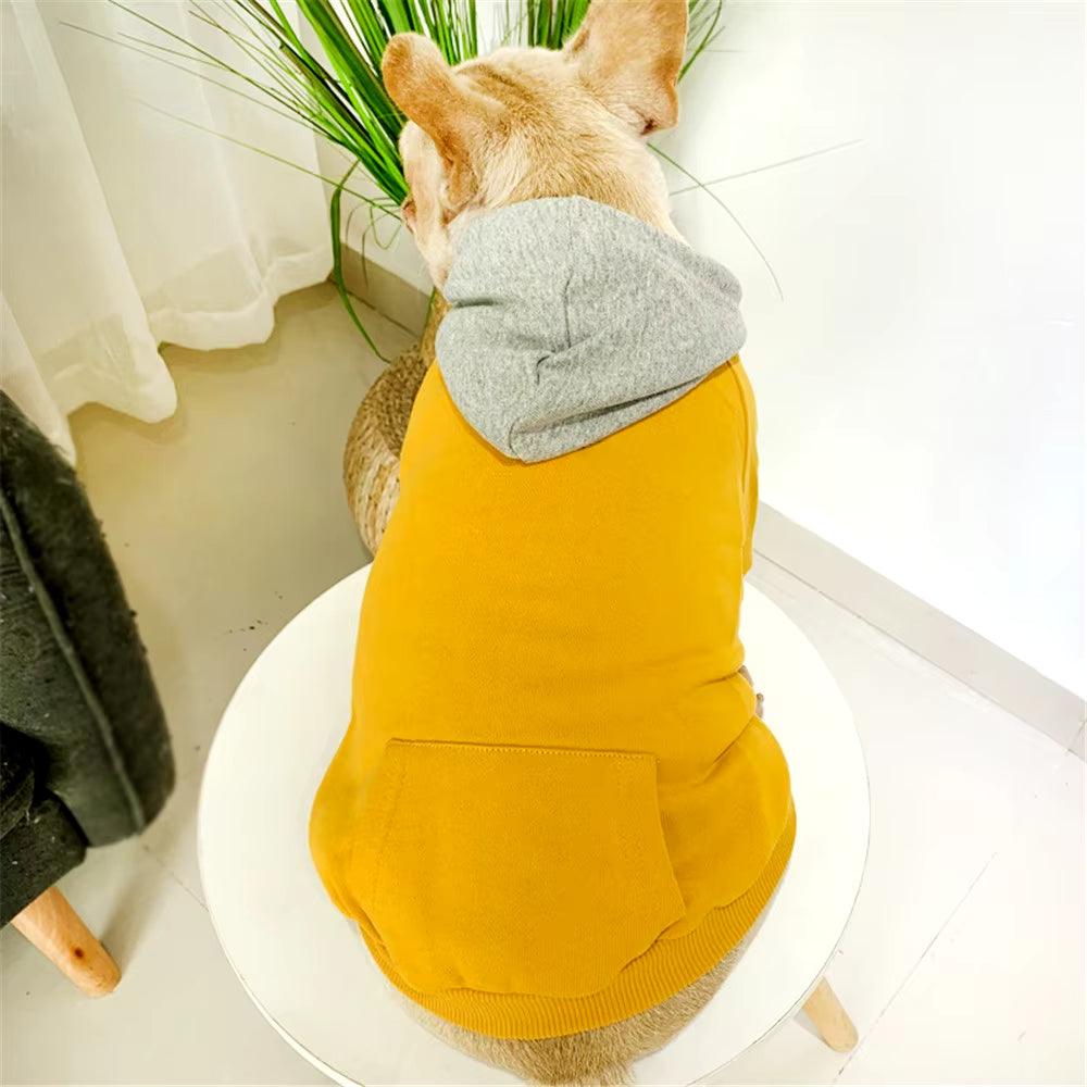 Matching Dog & Owner Hoodies – French Bulldog, Corgi & Pug Family Pet Outfits for Ultimate Bonding! - Bodo Now